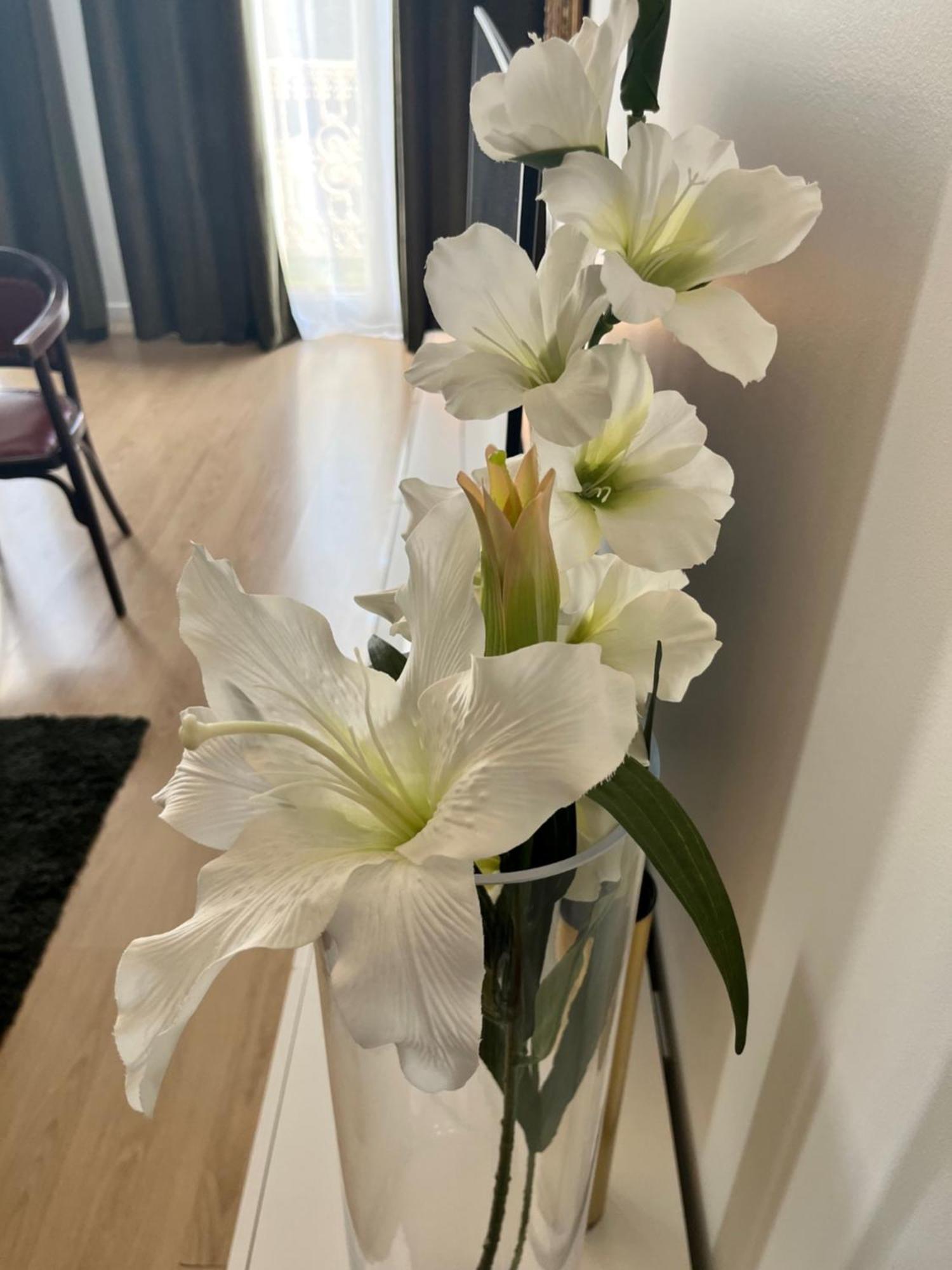 Vigne Et Mer-Spacieux Appartement Haussmannien-2Chambres-Wifi Béziers Kültér fotó